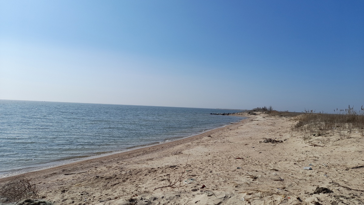 пляж азовского побережья днр