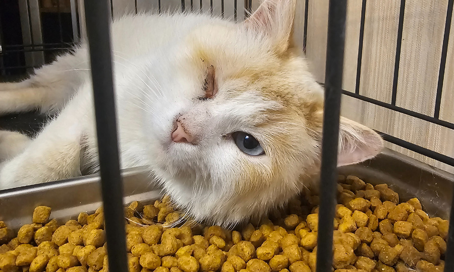 Моё утро — это тихая перекличка: «Ты дышишь? Ты держишься?»...