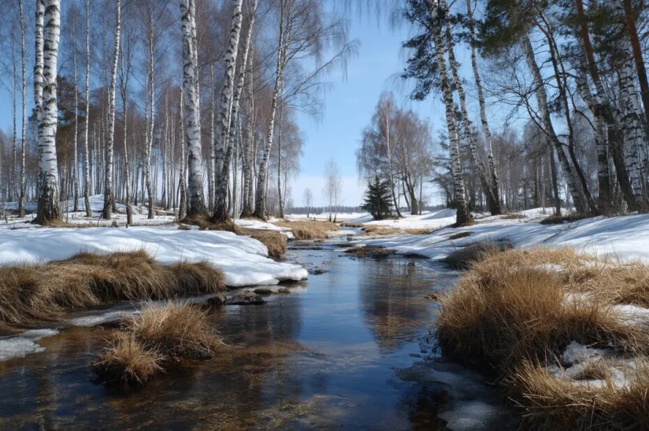    Создано ИИ/NEWS.ru