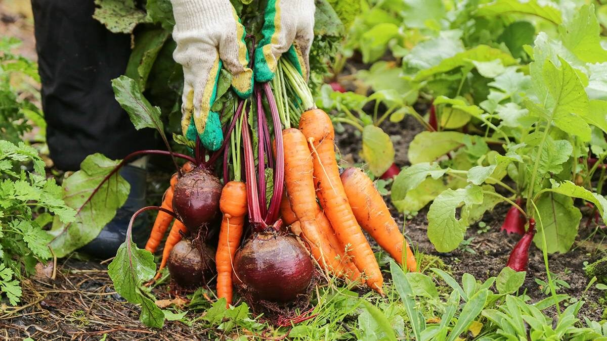    Фото: Shutterstock