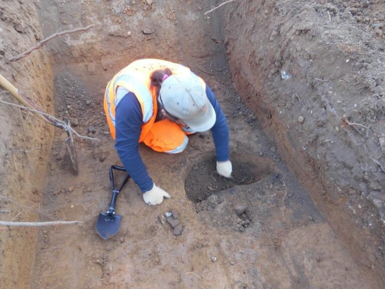    Фото: wiki commons/Dr Elliott Hicks, Colchester Archaeological Trust/CC BY 4.0 Роман Котлов