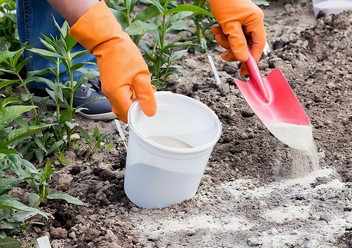 Внесение полкормки