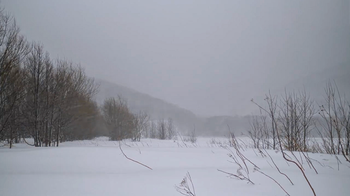 Авторское фото «Камчатская пурга у склона сопок»