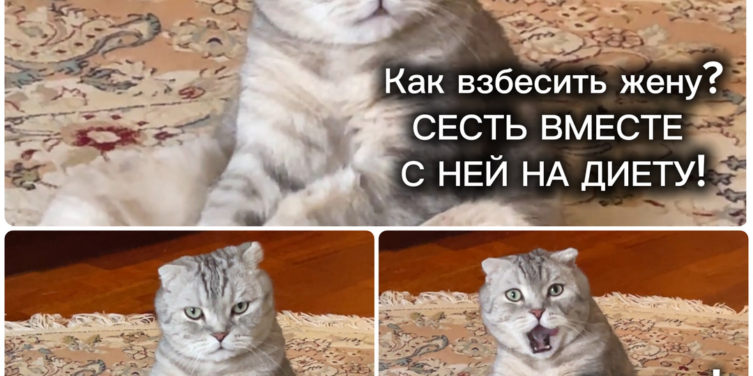 Так и есть😅