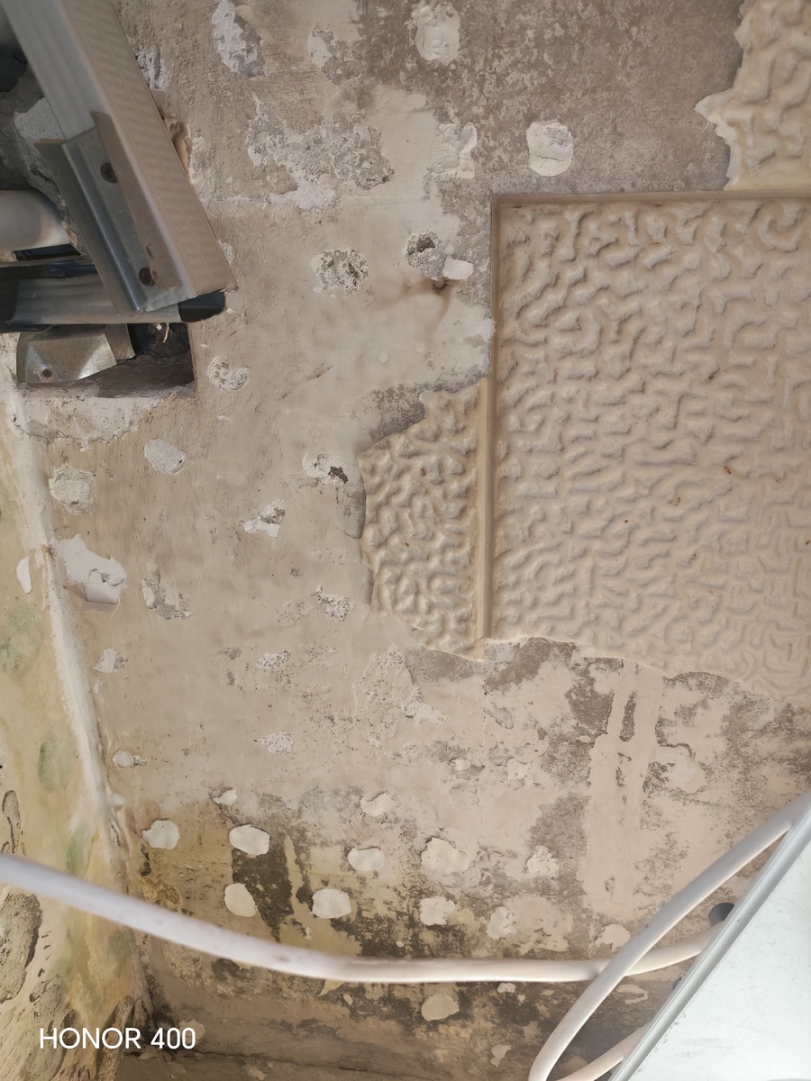 Фотография автора