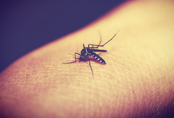 фото: pxhere.com