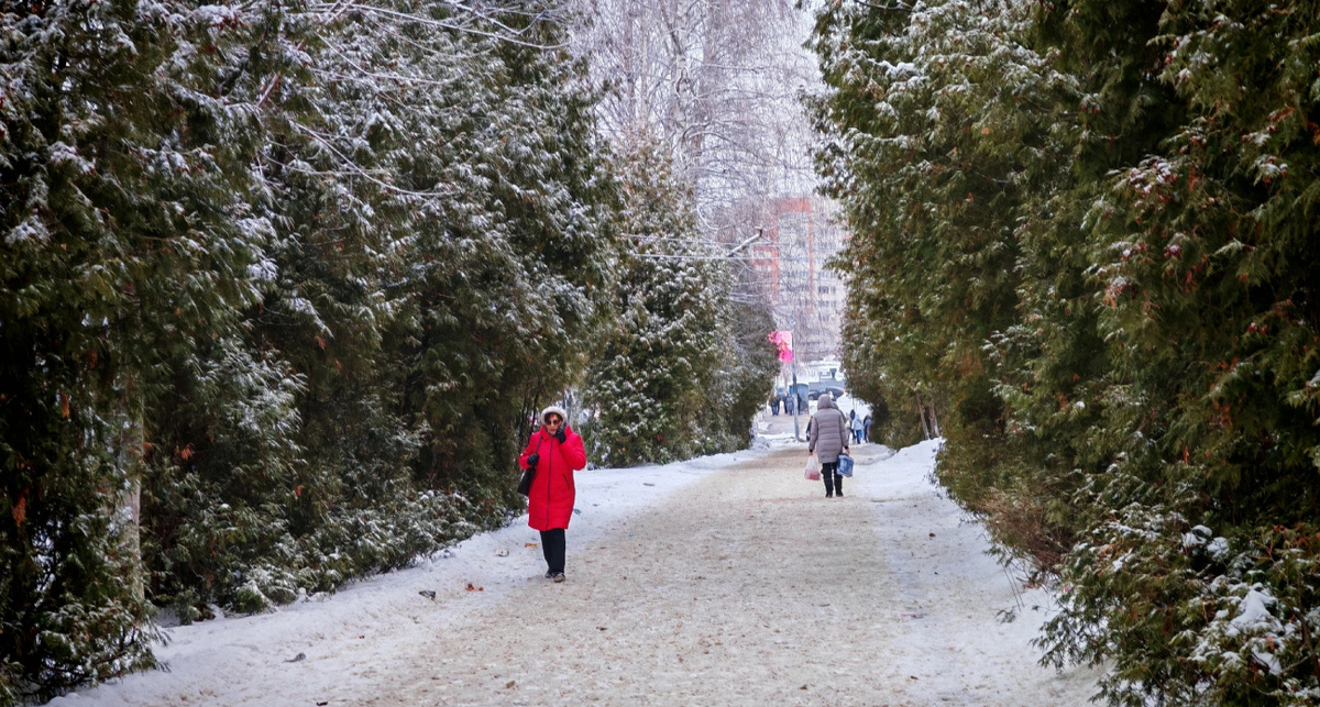    Фото: ПроГород