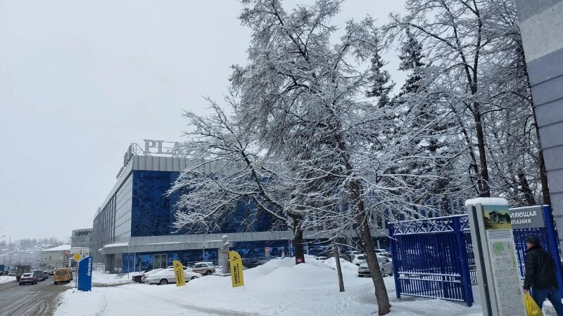     Снегопад в Барнауле. Анна Зайкова