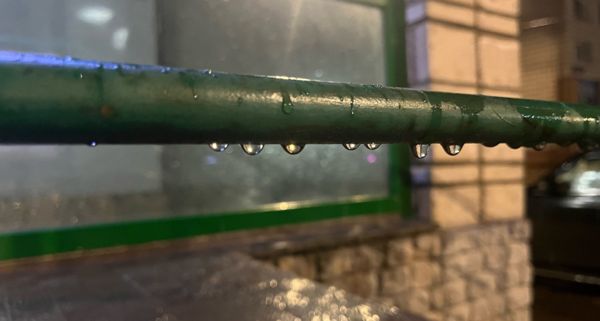    Фото из архива редакции