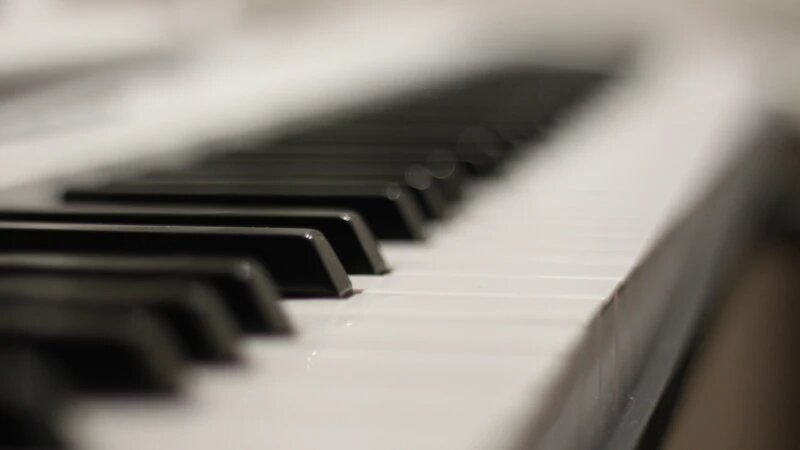     Фортепиано. Пианино. Синтезатор. Клавиши. Музыка. Хобби. Увлечения. Софья Комарова / altapress.ru