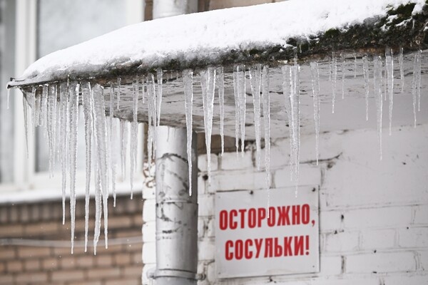 Кирилл Каллиников/РИА Новости   📷