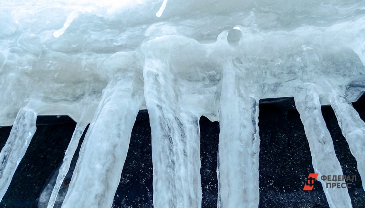 ЧП произошло, когда ребенок вышел из подъезда с отцом.  Фото: Фото: ФедералПресс / Елена Майорова