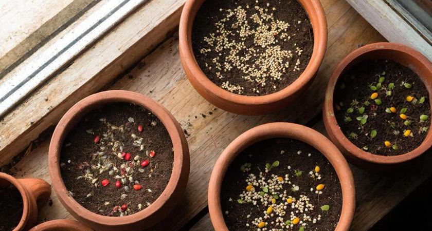    Фото: нейросеть