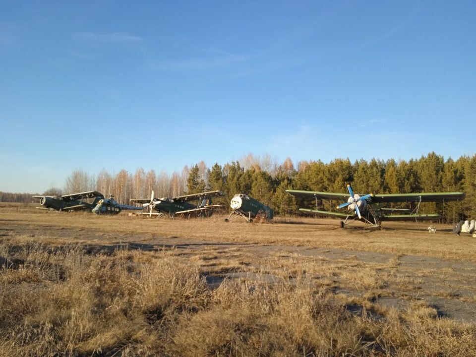    Аэродром "Лесной" в Первомайском районе. Источник: Екатерина Гаськова