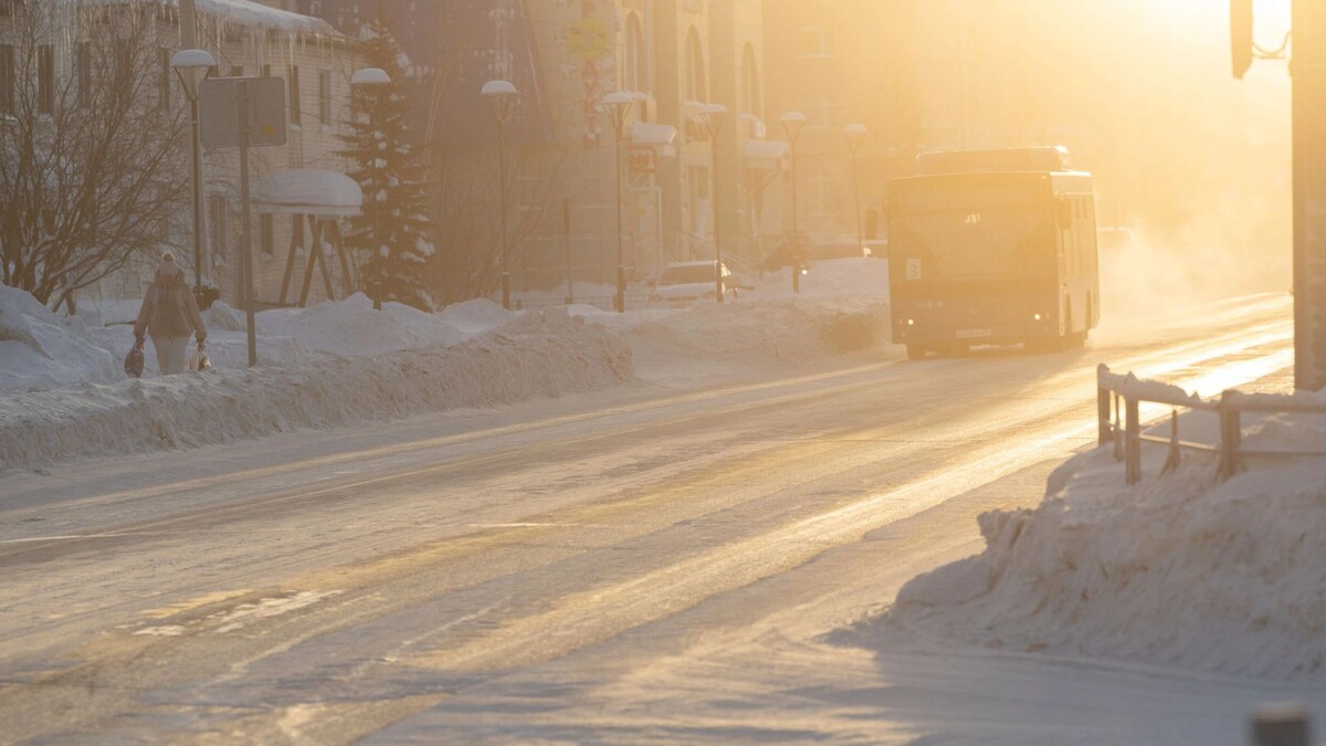    Фото: Федор Воронов / «Ямал-Медиа»