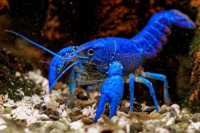 ����� ��� ������ �������� ��� ���� ������.