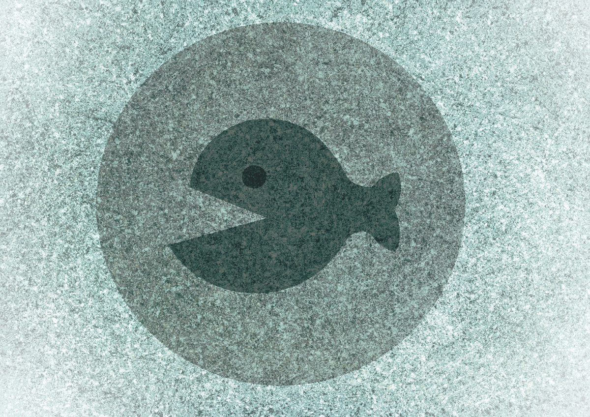 Рыба была в таком круге.