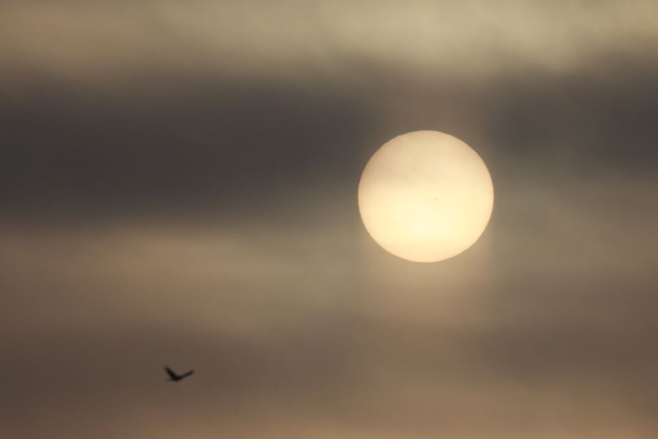    "Растущее" Солнце в небе над Барнаулом . Источник: Олег Укладов