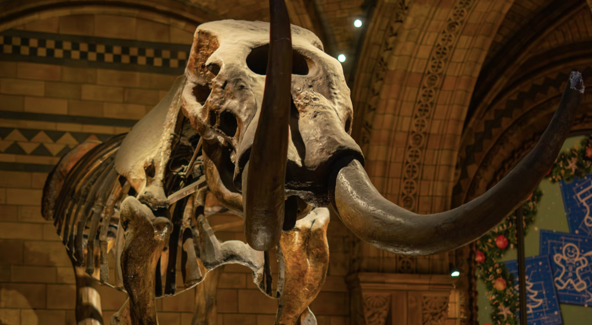     Antony Hyson Seltran/Unsplash