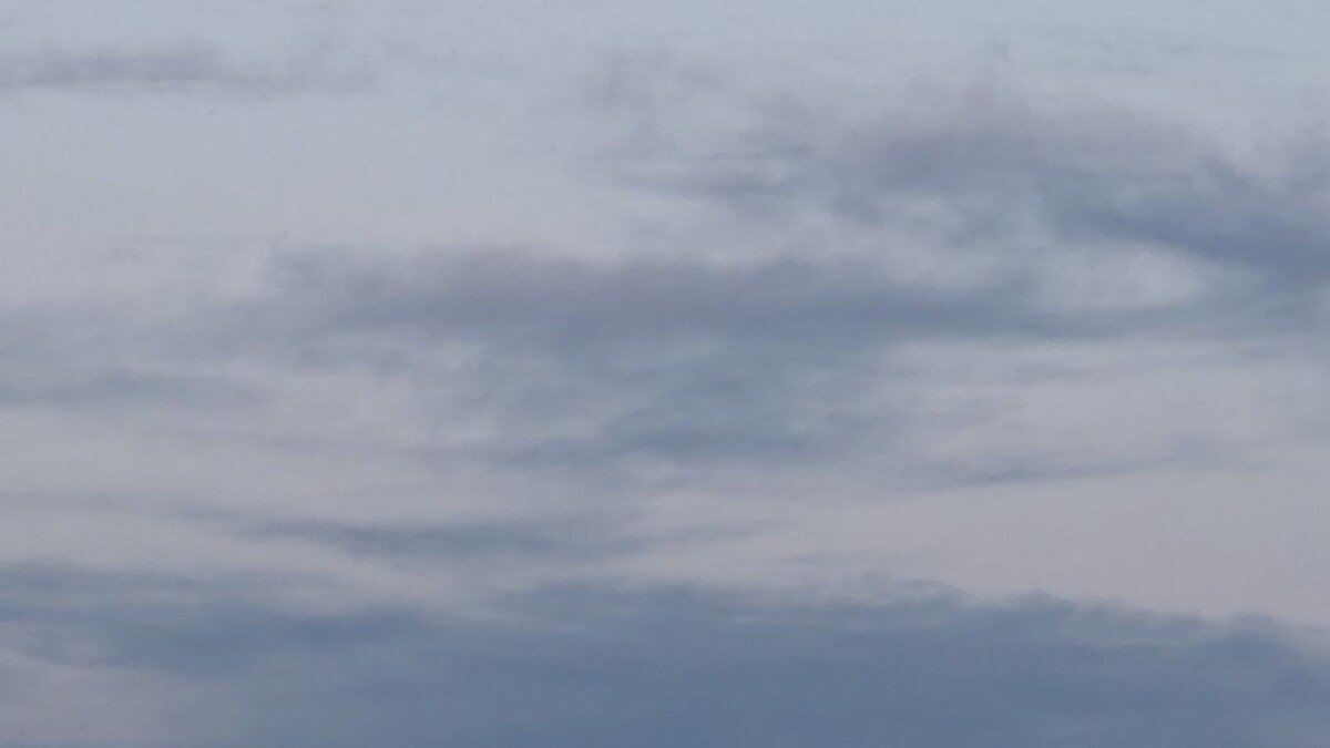    Фото: телеканал «Краснодар»