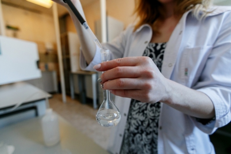     Тематическое фото. Фото: Александр Хитров, ИА PrimaMedia