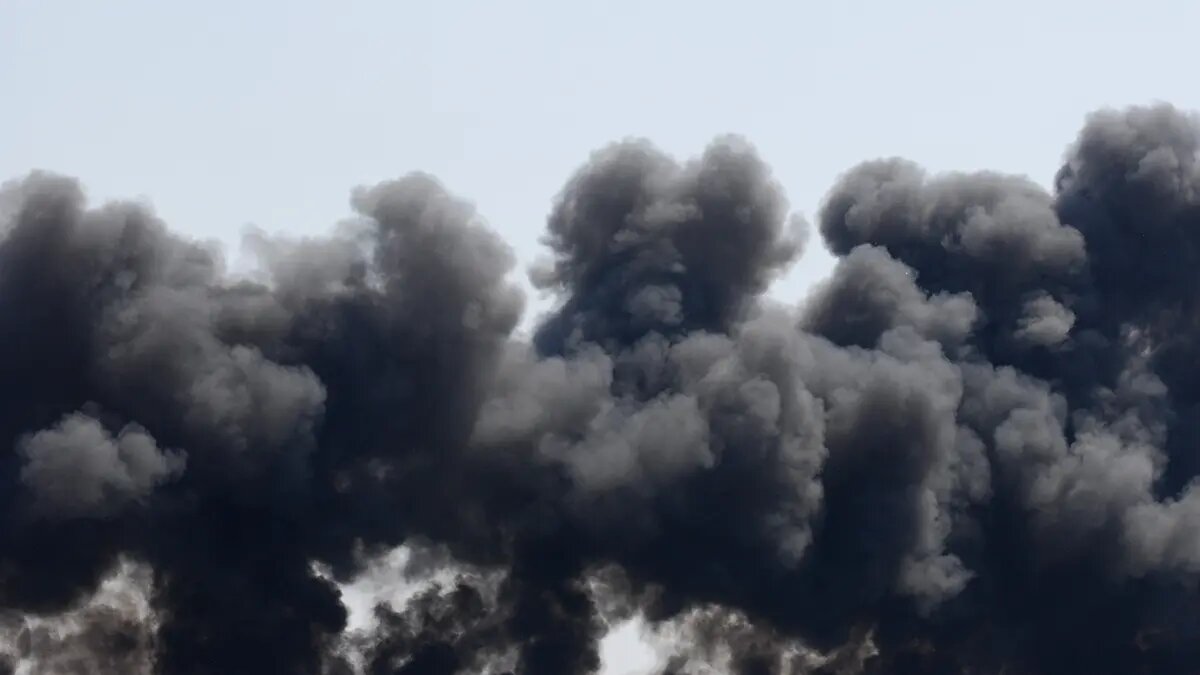    Источник: vm.ru/ Сергей Гуляев