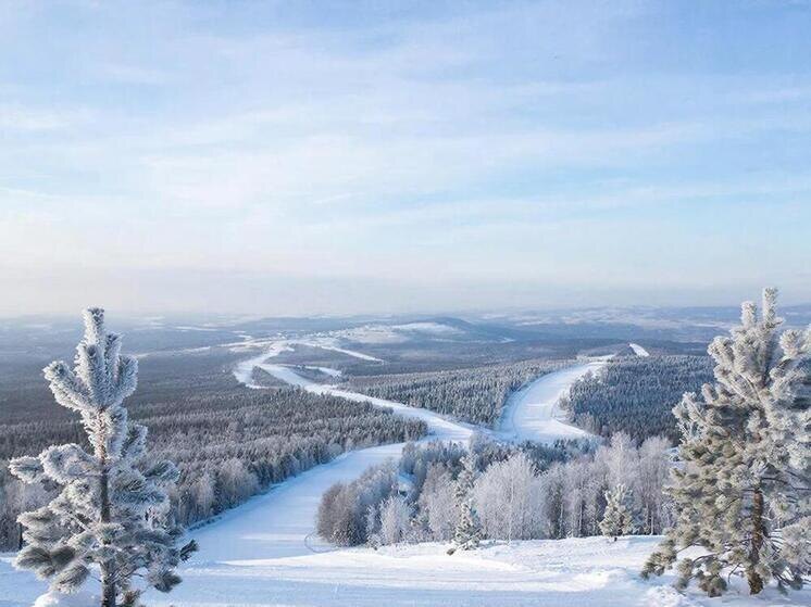     Фото: сгенерировано ИИ