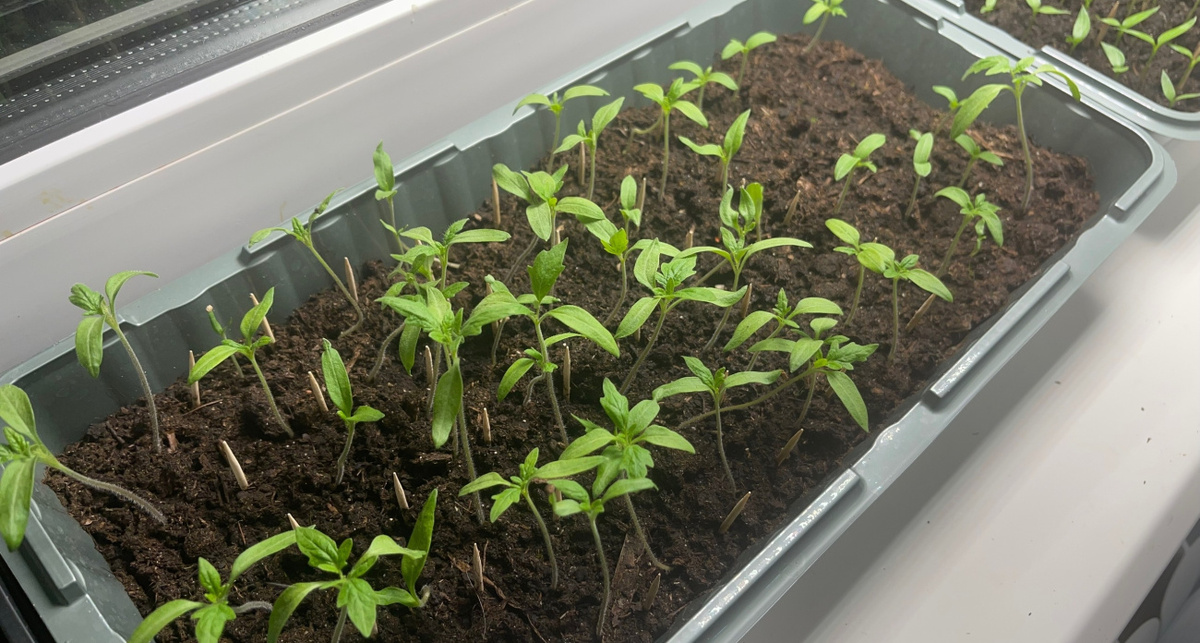    Фото: ПроГород