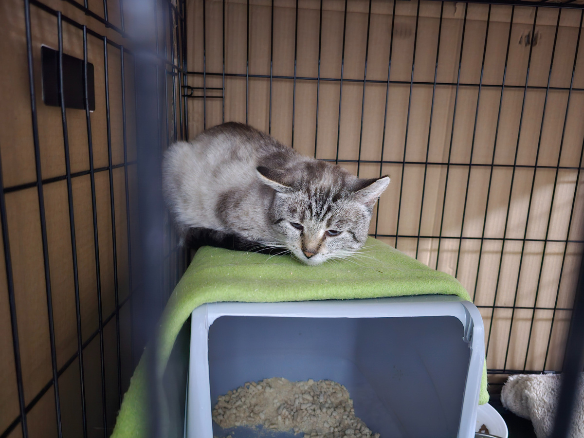 Фото автора. Помогите мне. Я так хочу жить.