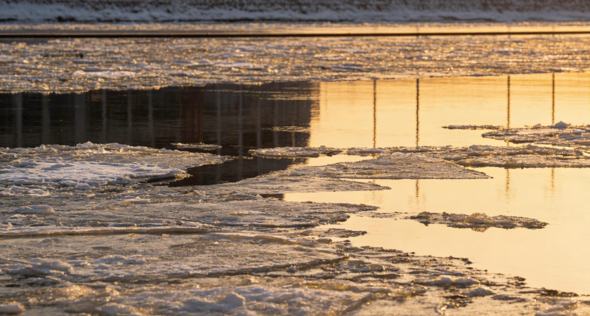    Николай Ткаченко