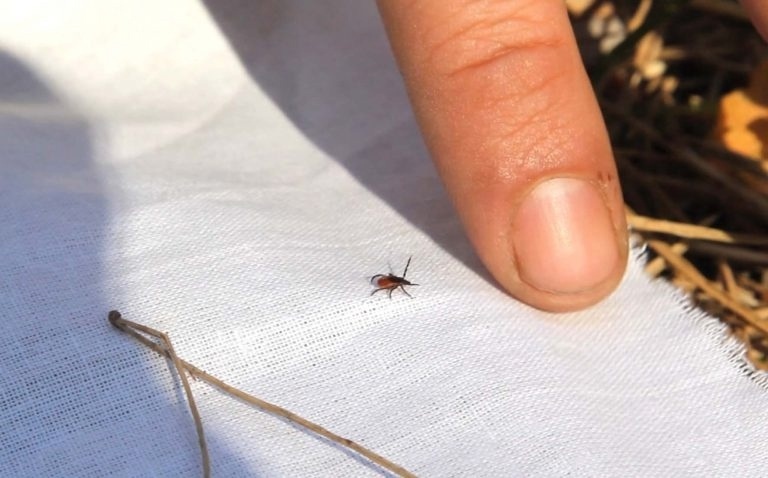    Редакция портала "Город Киров"