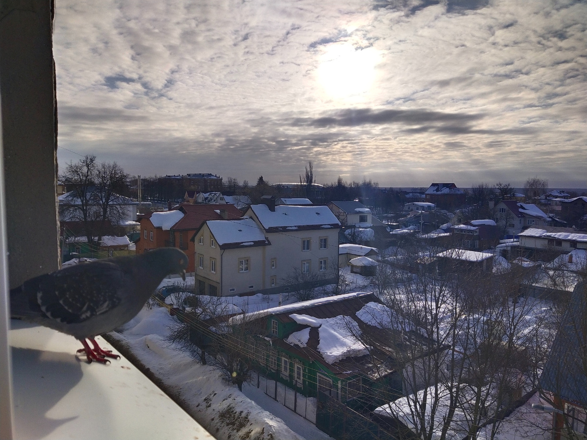 Личное фото