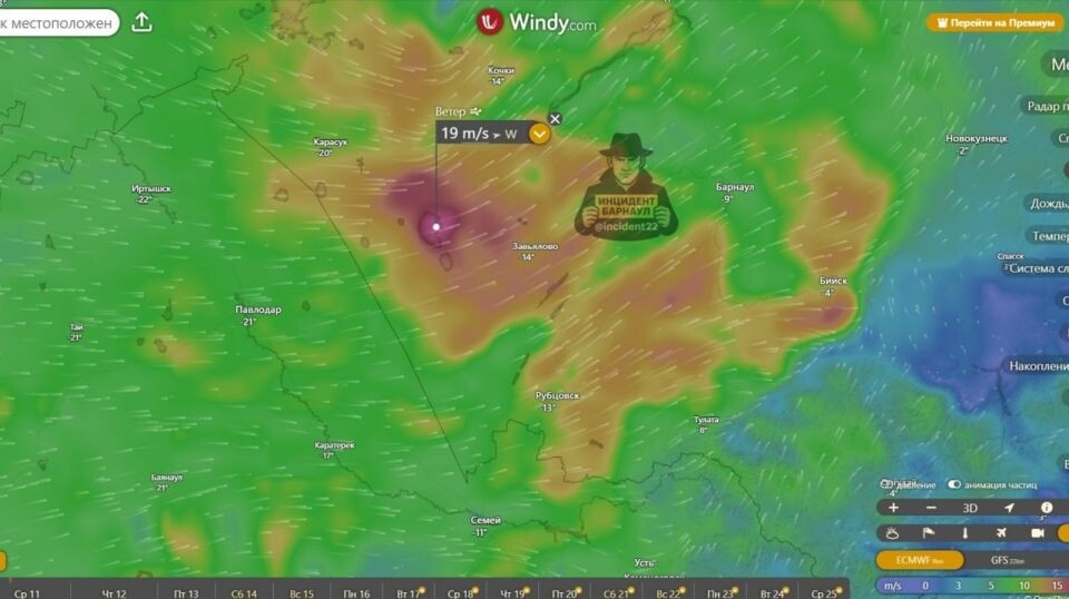    Ветер в Алтайском крае. Источник: Windy.com