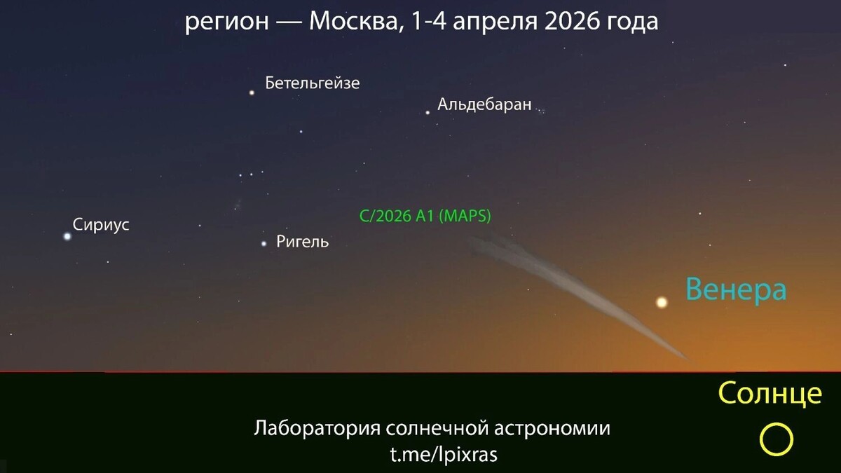    Падающая на Солнце комета C/2026 A1 (MAPS) за несколько дней до смерти станет видна землянам   xras.ru