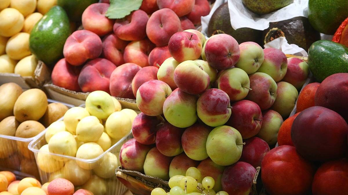    Фото: Сергей Ведяшкин / АГН Москва