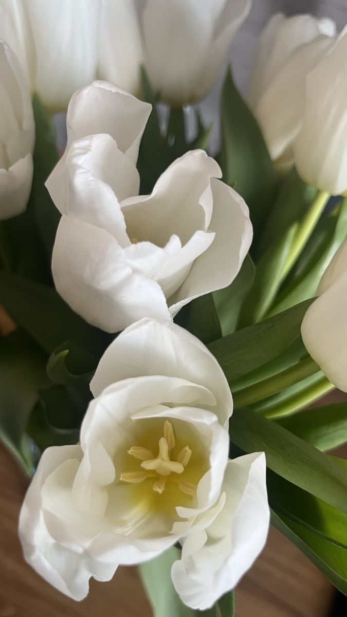 Красивущие 🤩