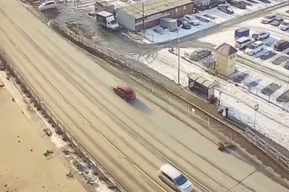    Фото: Госавтоинспекция Красноярского края