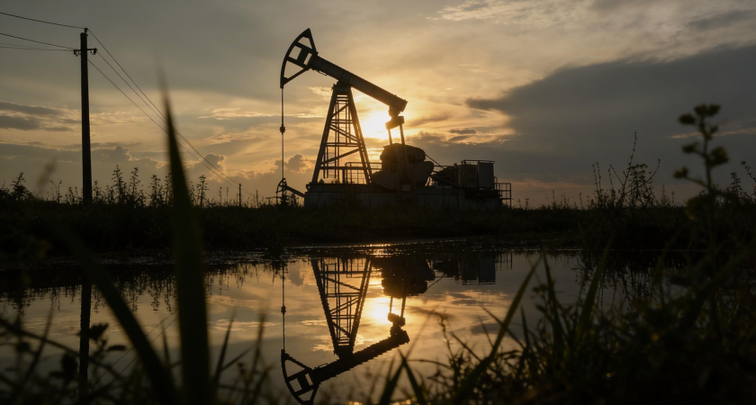    Нефтяная качалка | © РИА Новости / Максим Богодвид