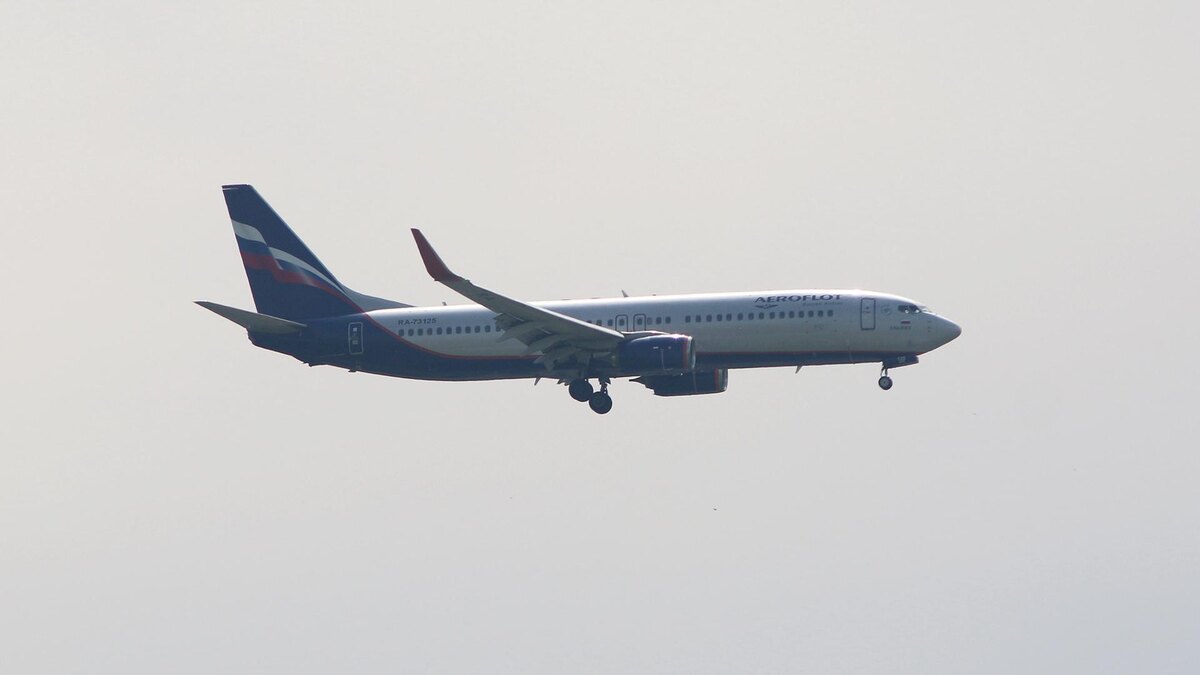    Фото: Maksim Konstantinov/globallookpress.com