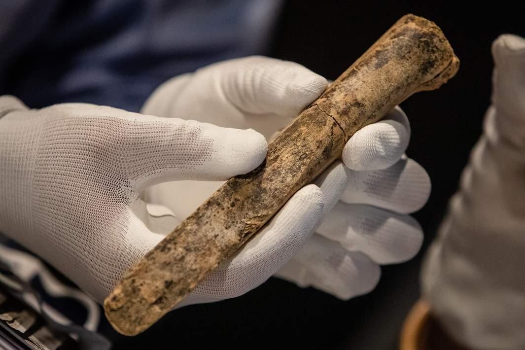    Фото: Global Look Press/Christoph Schmidt