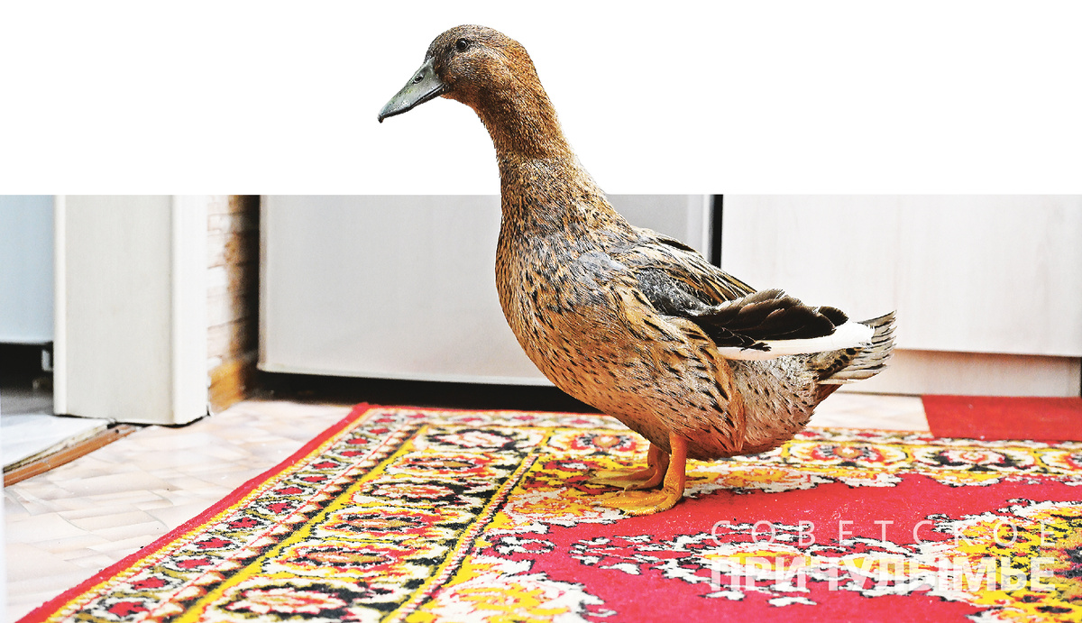 фото Натальи Алексеевой