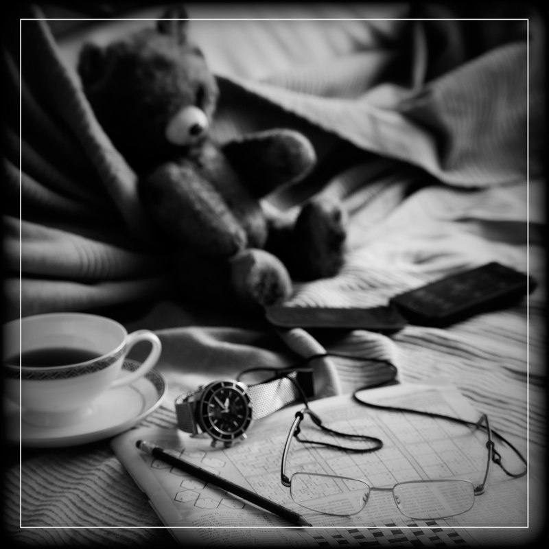 Набор предметов создает определенное настроение и не обязательно знать, что плюшевый мишка ─ ровестник автора и ему больше 60, для того, чтобы понять метафору, скрытую в снимке, нужно иметь определенный жизненый опыт.