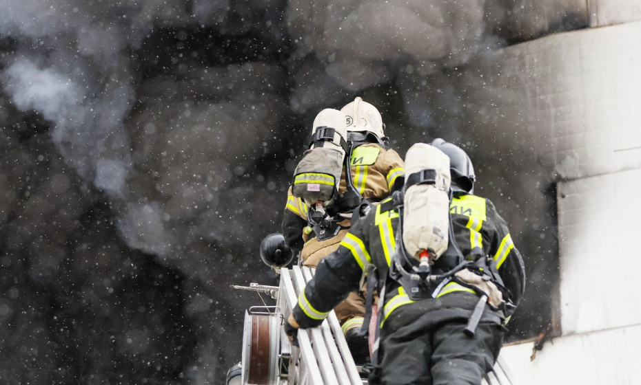    Алексей Белкин/NEWS.ru