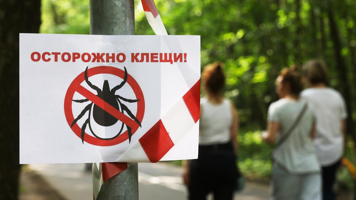    Фото: ИЗВЕСТИЯ/Юлия Храмцова