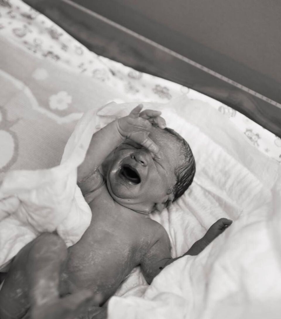    Луис Сквиччиарини и Лерчек. Источник: inst/im__lu_ *