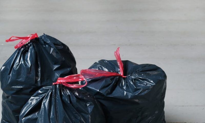    Фото freepik.com