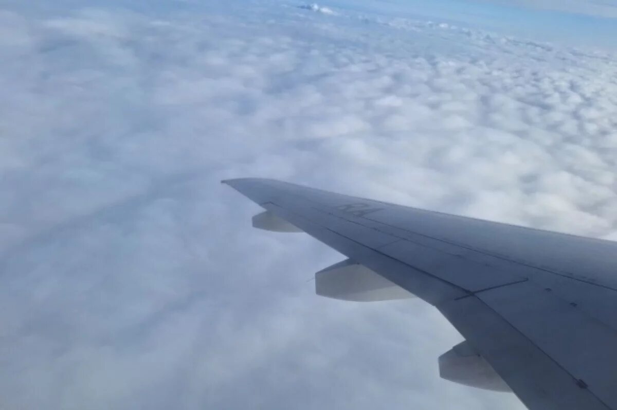    В аэропорту Пензы из-за плана «Ковер» произошли задержки авиарейсов