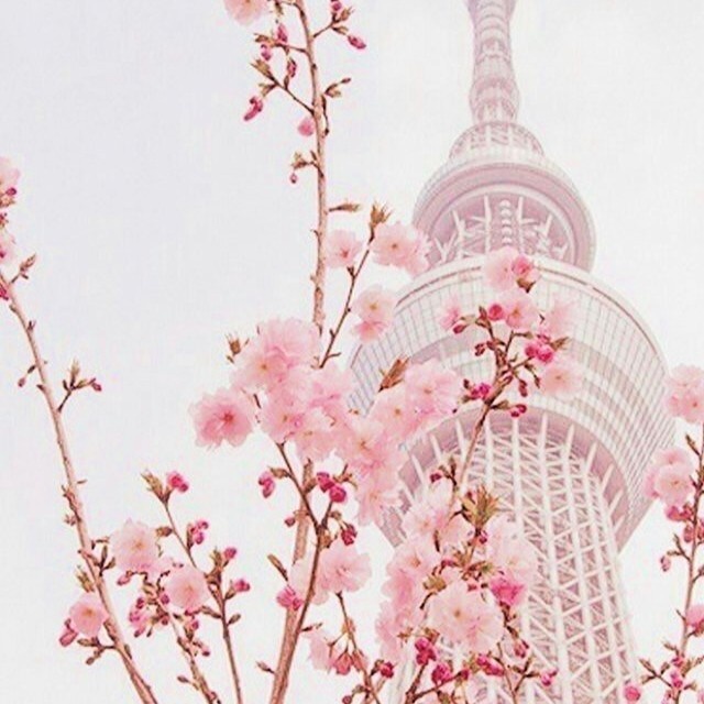 1. Башня Намсан в Сеуле. Фотографии из открытых источников.