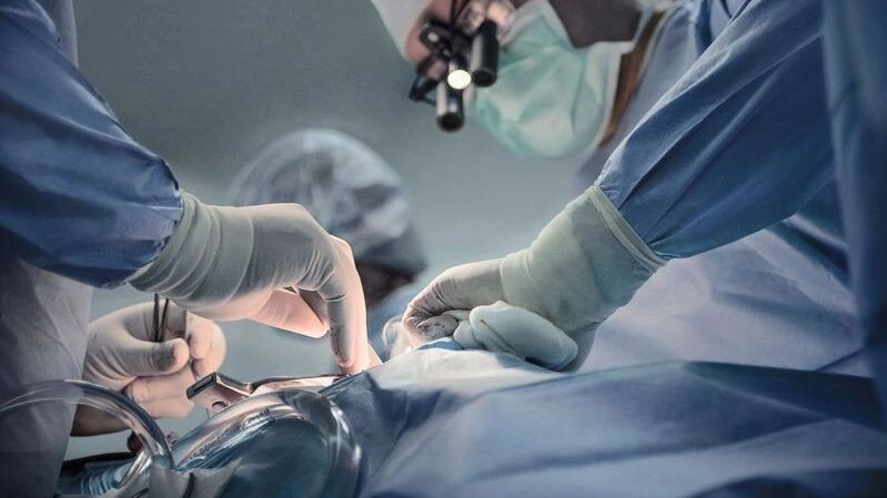    Фото: Assist m4x1ight happiness/Shutterstock/Fotodom