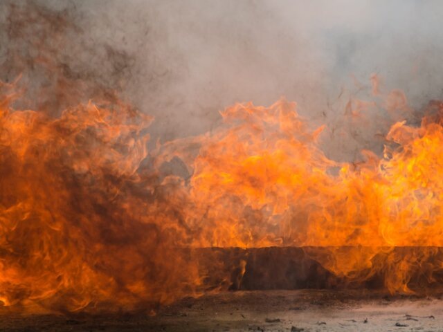    Фото: 123RF.com/chaikom